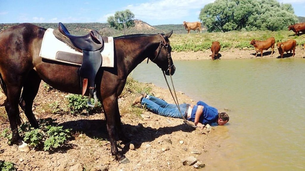 Lead-a-Horse-to-Water-1024x577.jpg